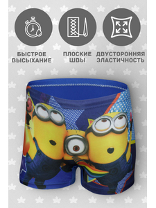 250951 Плавки-шорты 